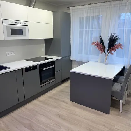Luxurious In The City Center Apartment Parnu
